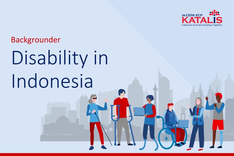 Disability in Indonesia
