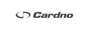 Cardno-logo_GS